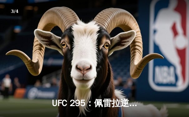 UFC 295：佩雷拉逆袭卫冕成功，普罗哈兹卡痛失轻重量级金腰带 - 3