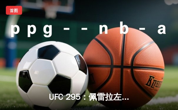 UFC 295：佩雷拉左勾拳终结普罗哈兹卡，轻重量级迎来新王者